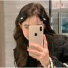 [Liberação de joias] alta qualidade grande tubarão clipe de metal grampo de cabelo multi-clip cocar hairpin para mulheres