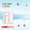 Lâmpada Auxiliar de Iluminação Cirúrgica LED para Clínicas Ambulatoriais Ginecológicas, Exame Odontológico, Fonte de Luz Fria, Lâmpada Cirúrgica Sem Sombra Móvel de Piso