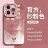 Adecuado para funda de teléfono móvil Apple 15Pro, amigable con la piel, paquete completo iPhone13 búho palabras aleatorias 2% silicona 14 protección