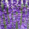 Fio de flores de hortênsia sintéticas Rattan de flores criptografado Fio de flores de orquídea Yang Pendente de parede para casamento Flores por atacado