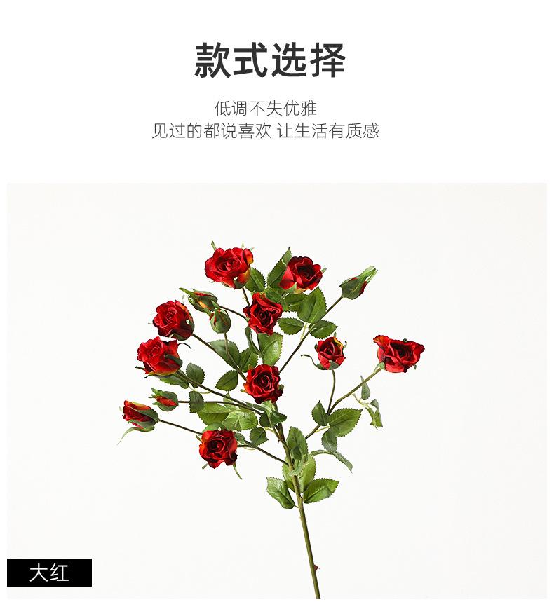 详情_05.jpg
