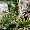 Arco de Ferro Estilo Vintage para Jardim, Inserções, Etiquetas e Placas Florais para Marcadores de Plantas, Decorações de Jardim e Enfeites para Vasos de Suculentas