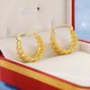 Aretes personalizados de aro ovalado retro dorado de acero de titanio 2024 de moda estilo europeo y americano degradado en forma de U