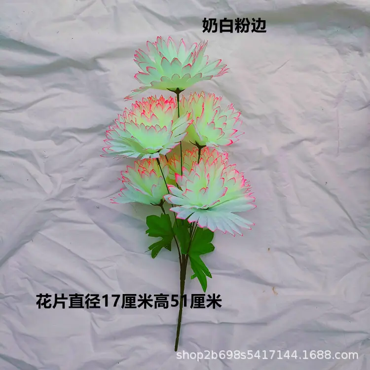IMG20220427164608_副本.jpg