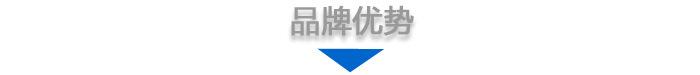 品牌优势