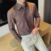 Camisa masculina de verão em fibra de bambu anti-rugas sem ferro, gola one-line, botões ocultos, manga longa, fina, para trabalho e dia a dia