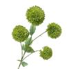 Material plástico simulación panal cebolla verde individual 4 colores opcionales floristería comúnmente usada flores artificiales nuevo