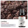 Exportación Transfronteriza Aceite Esencial Individual Fragancia Aromaterapia Masaje Aceite Esencial Sándalo Difusor Mayoreo Muestra de 10 ml