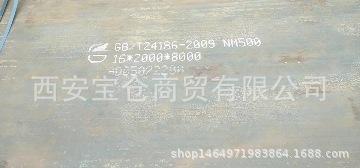 NM5001