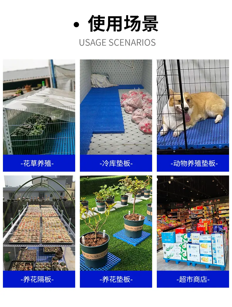 详情 (6).jpg
