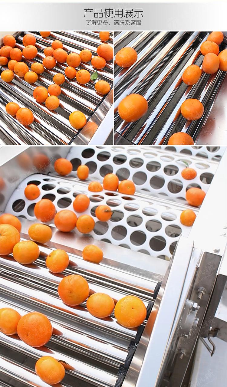 TS-FS450B-果蔬分选机-详情页(750px)_02.