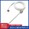Fabricante de sonda de medición de temperatura de resistencia de platino resistente al desgaste roscada PT100/PT1000 fábrica mayorista PT100