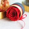 Cubo Abrazador Rosa Eterna Caja de Flores Navidad Día de San Valentín Regalo Transfronterizo Cubo Abrazador Redondo Flor Eterna Mayoreo