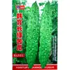 Semillas de Melón Amargo Verde Largo Huerto Huerta Verdura Maduración Temprana Pulpa Gruesa Melón Amargo Verde Esmeralda Melón Frío Semillas de Verdura Venta al por Mayor