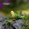 Musgo micro paisajismo material de paisaje decoración decoración loro precioso material DIY