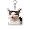 Rana Acrílico Souvenir Mascota Perro Expresión Perro y Gato Colgante Creativo Foto Llavero Otros