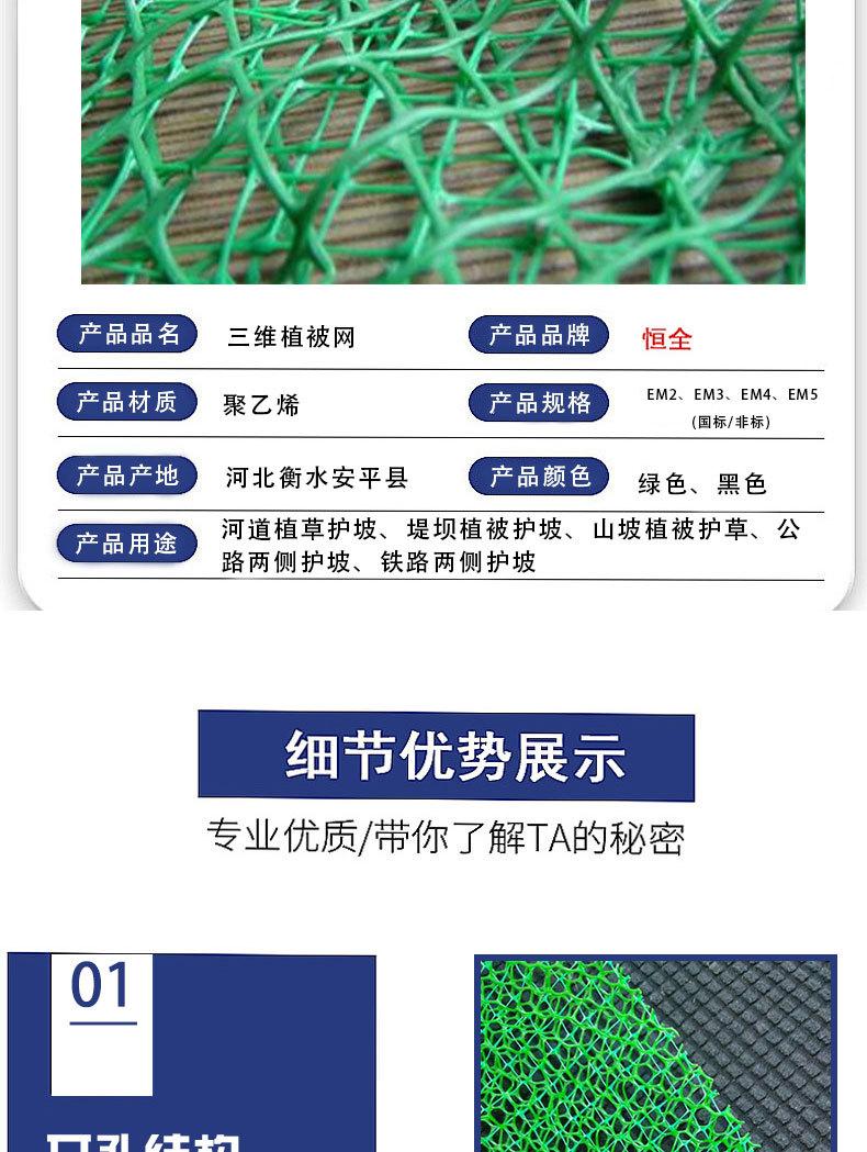 三维植被网_05.jpg