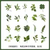 Adesivos de plantas e flores PET para journaling, materiais decorativos para cenários DIY feitos à mão, adesivos de journaling transparentes autoadesivos