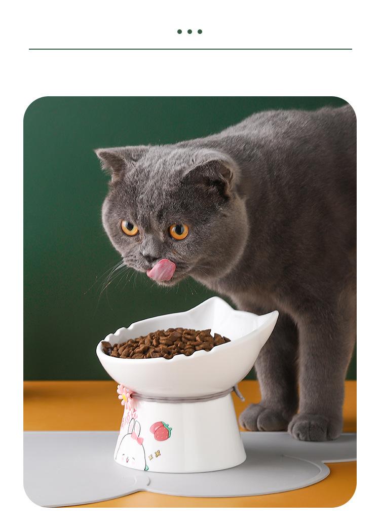 宠物碗_11.jpg