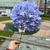 Nova hortênsia de cabeça única azul claro azul escuro azul simulação de casamento hortênsia estrada chumbo teto mão held flores falsas atacado