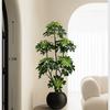 Planta de Simulación Madera Pie de Pato de Pie en Maceta Planta Verde Biónica Adornos Sala de Estar Lado del Sofá Decoración del Hogar Bonsái Árbol Falso