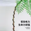 Jacaranda en Maceta Planta Verde de Interior para Oficina Estilo Japonés Sala de Estar Mueble de TV Planta de Piso Fácil de Mantener en Todas las Estaciones