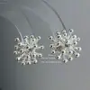 Pendientes de alta gama, geniales y elegantes estilo fuegos artificiales, minimalistas y de moda, adecuados para el uso diario, accesorios versátiles, venta al por mayor para mercados transfronterizos