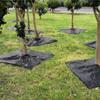 Tecido Anti-Mato para Pomares Agrícolas, Hortas, Estufas, Anti-Mato, Tecido de Grama Supressor de Ervas Daninhas, Tecido Anti-Mato Multifuncional Respirável e Hidratante