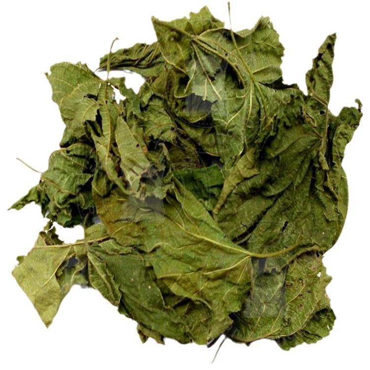 2023-10-18 10:42:26.jpg