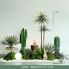 Combinación de Paisajismo con Plantas Verdes Artificiales: Cactus, Sisal, Árbol de Sangre de Dragón y Plantas Decorativas para el Espacio Debajo de las Escaleras