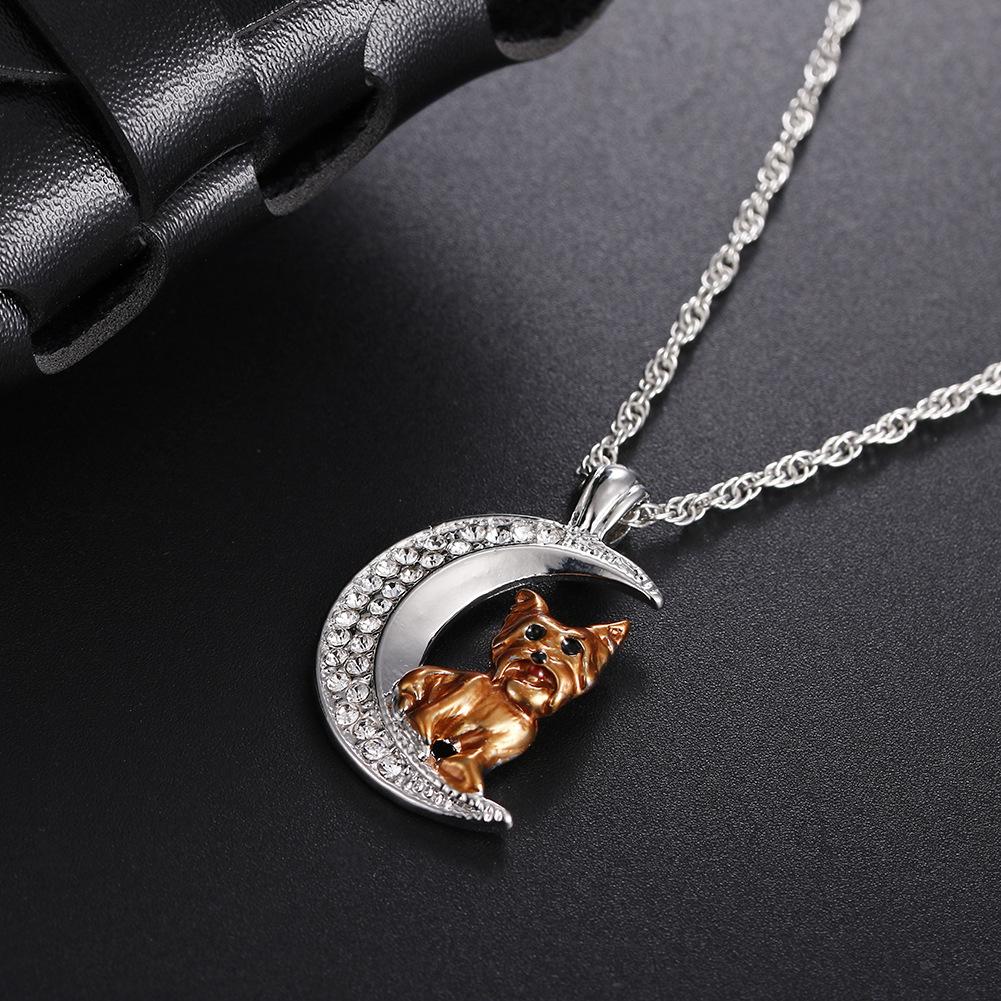 12791889089_2122545262