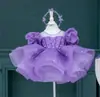 Vestido Formal para Niña Vestido de Princesa Modelo 2026 Desfile de Moda Disfraz de Anfitriona Infantil Atuendo para Presentación de Piano Elegante