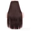 Comercio exterior Europa y Estados Unidos pieza de peluca femenina pieza de extensión de cabello de línea de pesca moda nuevo cabello de fibra química mate seda de alta temperatura cabello largo rizado