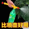 Borrifador para garrafa de bebida, regador de flores pequeno doméstico com pressão de ar, bico borrifador, borrifador reciprocante push-pull