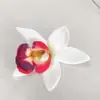 Fábrica de Flores Artificiais Atacado Orquídea Marfim Artificial 3D Pequenas Cabeças de Flores com Boutonnières e Lembrancinhas Flores Artificiais
