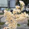 Nuevo comercio exterior Flor de cerezo de simulación blanca 4 tenedores encriptación con hoja flor de cerezo rojo flor de pera boda techo flor artificial al por mayor