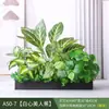 Paisagismo com Plantas Verdes Simulação Floreira Divisória de Piso Arte Floral de Chão Paisagem de Plantas Combinação de Floreira Flor Artificial em Vaso Bonsai Decoração