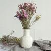 Vaso de Cerâmica Branco com Flores Secas, Estilo Fresco para Sala de Estar, Arranjo de Flores com Gipsofila, Decoração de Mesa de Jantar para Casa, Atacado do Fabricante