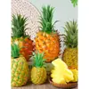 Modelo de piña real, fruta artificial, piña de plástico, piña con peso, reconocimiento de objetos para jardín de infantes, decoración de puesto de frutas de hotel.