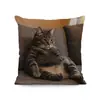 Funda de Almohada para Todas las Estaciones con Diseño de Colibrí, Hibisco, Lobo y Gato, Funda de Cojín para Sofá Decoración del Hogar Estilo Rústico