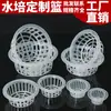 Cesta de Plantio Hidropônico, Cesta de Fixação de Plantas para Cultivo em Solo, Cesta de Flores para Vaso de Vidro, Recipiente Hidropônico, Dispositivo de Fixação para Raiz de Rabanete Verde e Bambu da Sorte