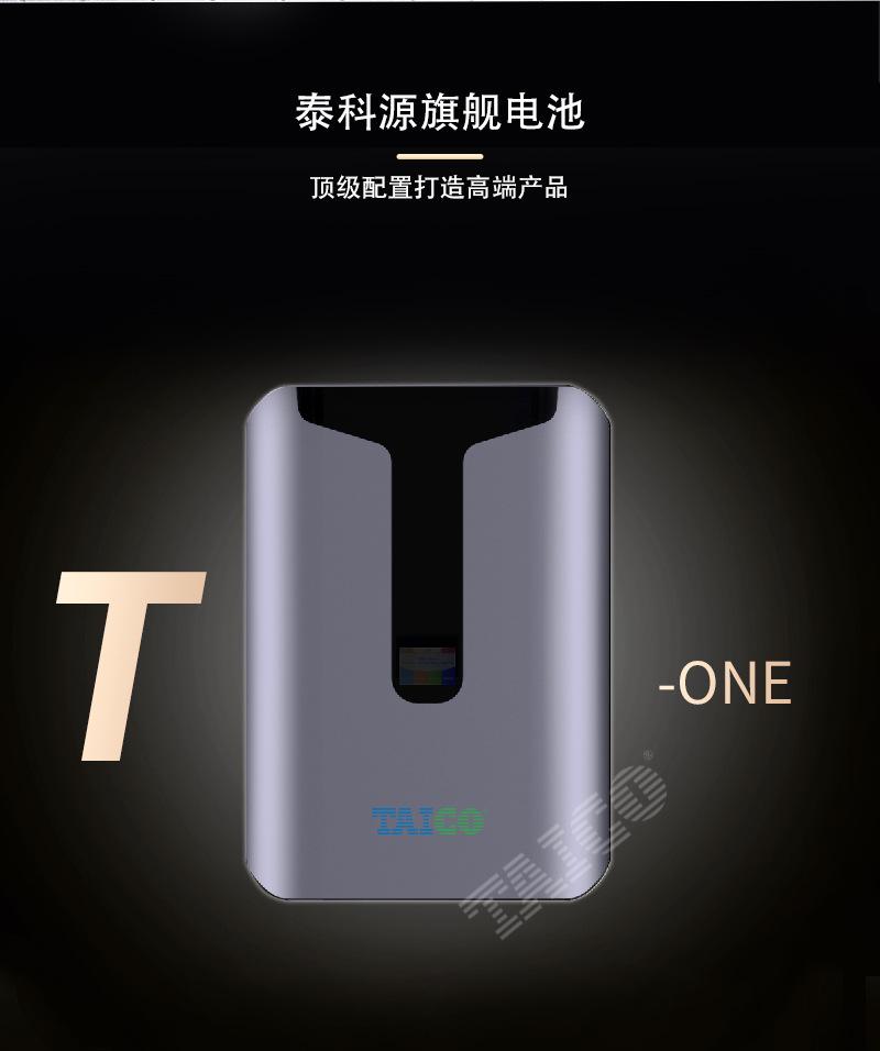 T10_01.jpg