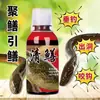 Agente cebo anguila espíritu anguila secreta anguila amarilla cebo langosta exterior Loach tortuga atrayente pesca pequeña Red Medicina jaula