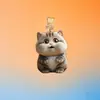 Tapón de Polvo para Teléfono de Acrílico con Gatito Lindo Transfronterizo 2D Adecuado para Colgante de Decoración Iphone/Tipo-C