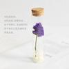 Espécime de Flor de Rosa Seca Real em um Tubo de Vidro, Gipsofila, Presente de Aniversário, Buquê de Dia das Mães, Dia das Mães