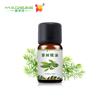 Aceite Esencial de Árbol de Té Transfronterizo Teatreeoil Aromático Libre de Minerales Aceite Esencial de Planta Única Melaleuca Árbol de Té Australiano