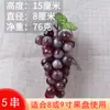 Set de Modelo de Fruta de Plástico, Adornos de Fruta Falsa para Adorar a Guanyin Bodhisattva, Accesorios de Fruta