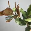 Planta Simulada de Hoja de Magnolia Floristería al por Mayor Jarrón Rama de Magnolia Adornos de Camelia Planta Verde Flor de Plástico Decoración de Paisajismo Arreglo Floral