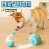 Brinquedo Inteligente para Gato Bola que Rola Bola de Auto-Alívio Artefato Resistente à Mordida Brinquedo Divertido para Gato Sem Poeira Suprimentos para Pets