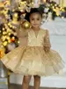 Vestido de Cumpleaños para Niña Negro Manga Abullonada Francesa para Niñas Pasarela Presentadora Actuación de Piano Vestido de Princesa Blanco Ninguno